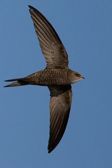 2580600448 52fc2f3721