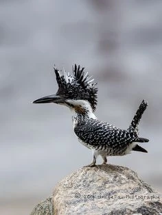 284b595f3f67be010cfec6687f71f67f