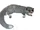 Lesser Iron-gray Dwarf Lemur