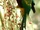 Wompoo Fruit Dove