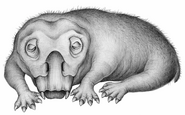 Life restoration of Lystrosaurus in hibernation