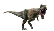 JW tyrannosaurus rex