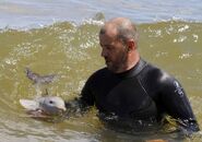 La Plata Dolphin rescued6