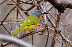 3986857876 bf6805f802 b