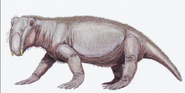 Art reconstruction of Lystrosaurus georgi