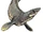 Plioplatecarpus