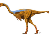 Gigantoraptor