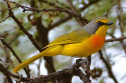 12170746895 1089f2d8d1 b