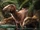 Tethyshadros