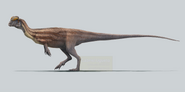 Reconstruction of Dilophosaurus wetherilli