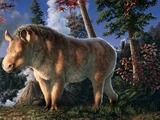 Arctic Rhino