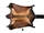 Laotian Giant Flying Squirrel