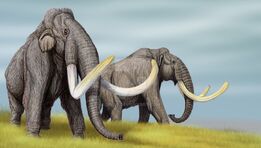 Steppe Mammoth vs Deinotherium, Cenozoic Era Battle [S1E8]