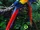 Scarlet Macaw