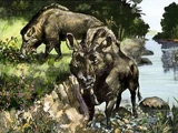 Entelodontidae