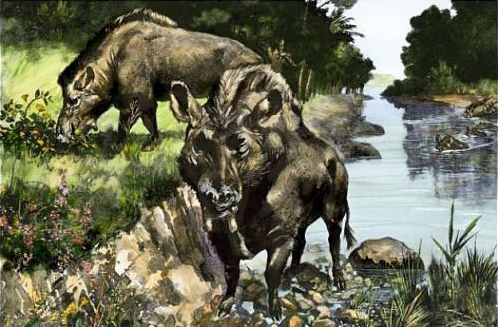 entelodont