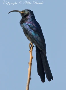 6015438708 38bb5c4a79 b