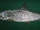 Longjaw Bonefish