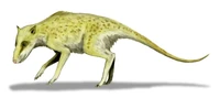 Restoration Indohyus