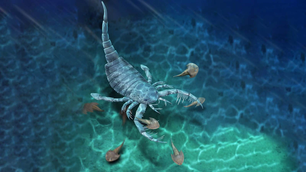 Terropterus Animal Database Fandom