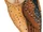 Congo Bay Owl