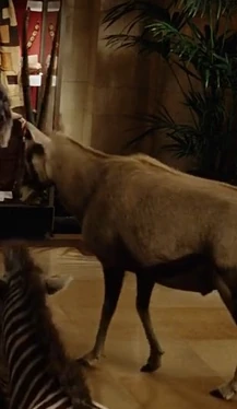 Night at the Museum (2006)