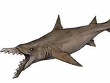 Edestus