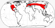 Hypertragulidae range