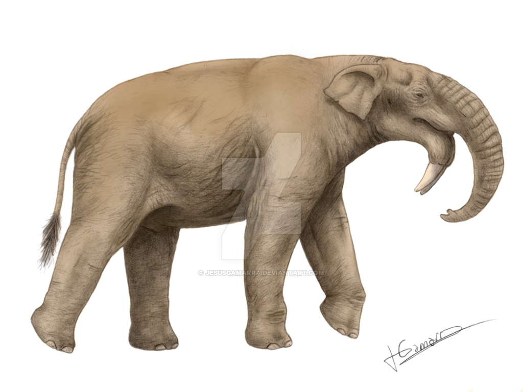 Deinotherium was a large prehistoric relative of modern-day elephants that appeared in the Middle Miocene and…