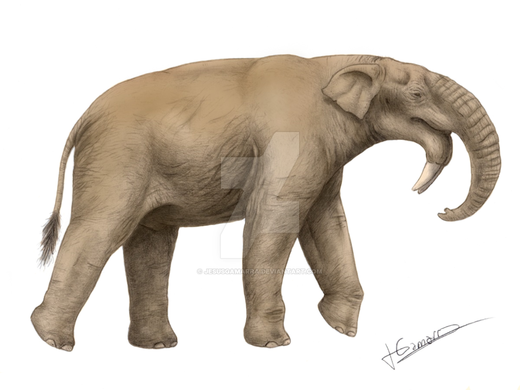 Deinotherium was a large prehistoric relative of modern-day elephants that  appeared in the Middle Miocene and…