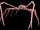 Japanese Spider Crab