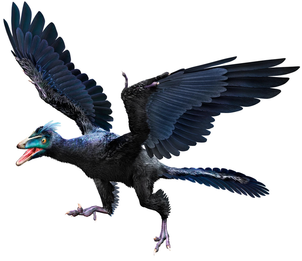 Archaeopteryx | Animal Database | Fandom