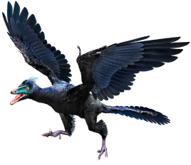 Archaeopteryx