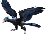 Archaeopteryx