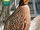 Cabot's Tragopan