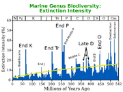 Extinction Intensity