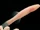 Hoosier Cavefish