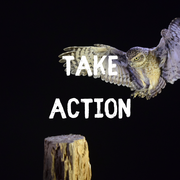 Take Action Halloween