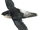 Pale-rumped Swift