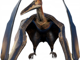 Pteranodon
