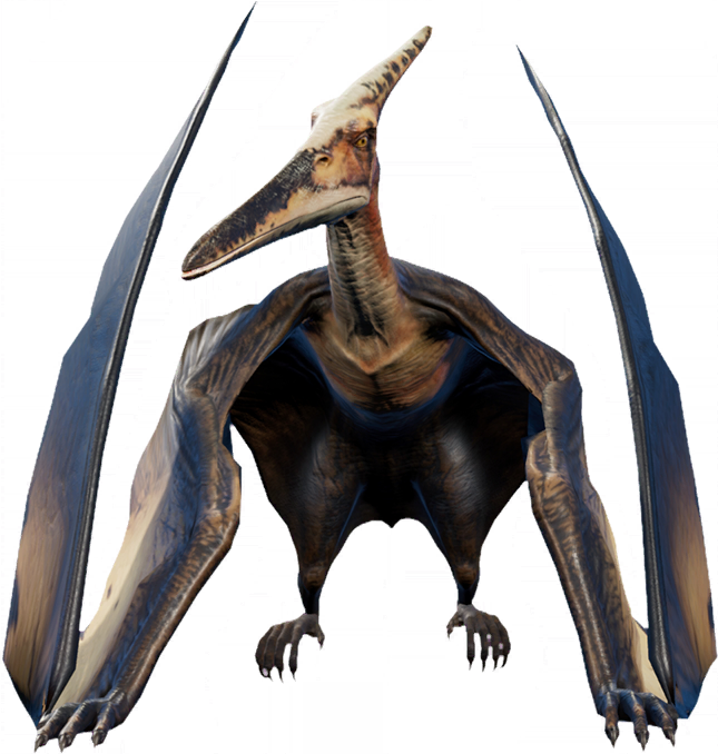 Artwork of the pterosaur, Pteranodon sp