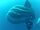 Southern Ocean Sunfish
