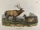 Eastern Elk