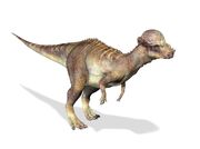 Pachycephalosaurus Wyomingensis