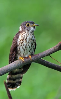 10226028526 d5508d141a b