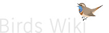Birds Wiki.png