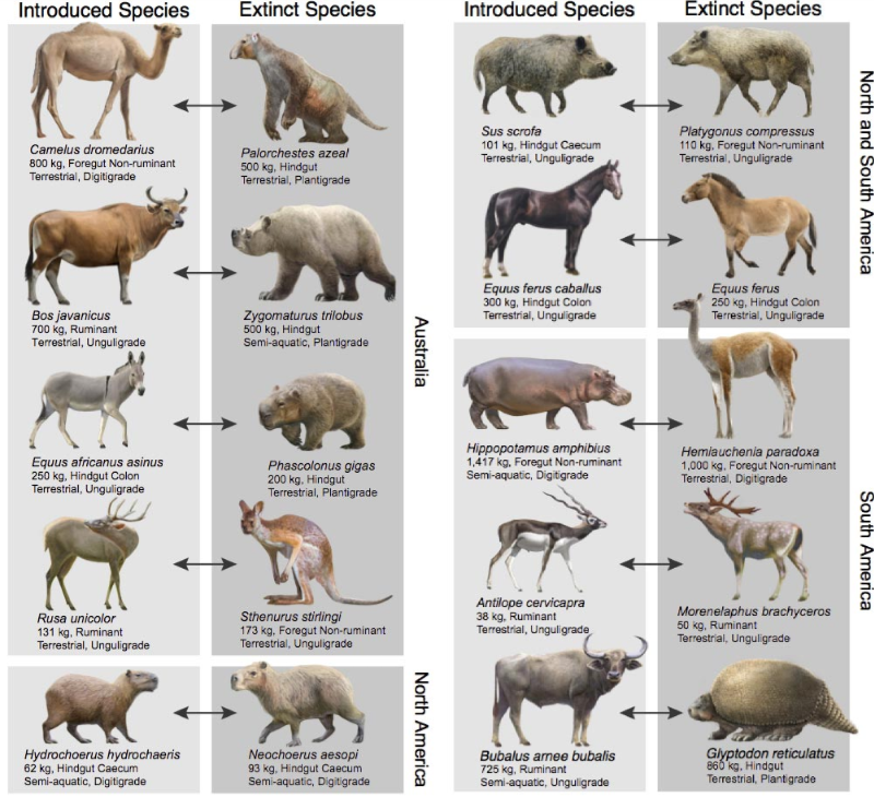 Extinct to least-Concern Species | Animal Database | Fandom Extinct to least-Concern Species | Animal Database | Fandom