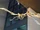 Maaradactylus