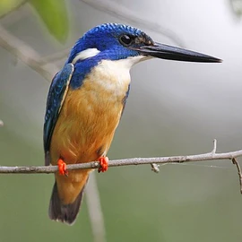 D65d624d311a3fccdd212c719488a15a