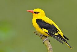 0c281af1a9f8e06b600903b79104d5e7